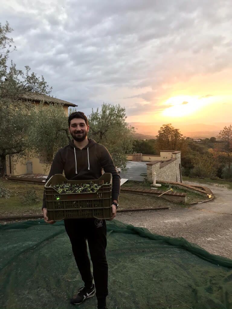 Vigne ed ulivi in Umbria