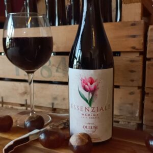 Vino Merlot "ESSENZIALE"