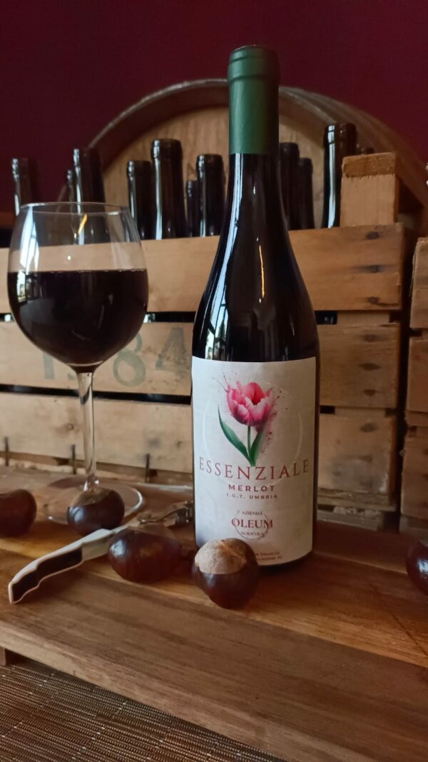 Vino Merlot "ESSENZIALE"