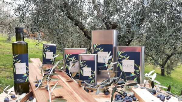 Olio Extra Vergine di Oliva *special edition* - immagine 2
