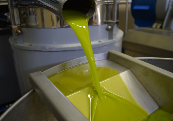 Olio Extra Vergine di Oliva *special edition* - immagine 6
