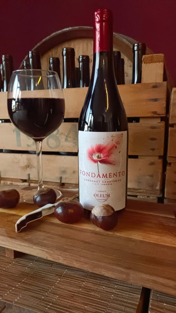 Vino Cabernet-Sauvignon FONDAMENTO